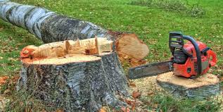 Best Tree Disease Treatment  in Dalzell, SC